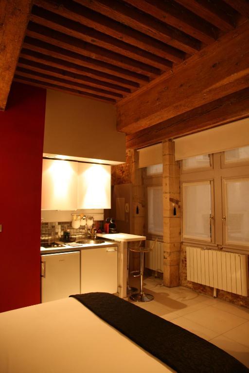 Loge Saint Jean Apartment Lyon Ngoại thất bức ảnh